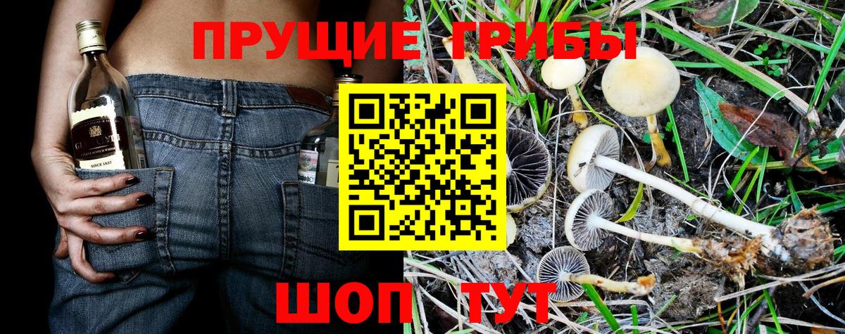 Псилоцибиновые грибы Psilocybine cubensis  Вход с VPN  Мурманск  Галлюциногенные грибы MAGIC MUSHROOMS 